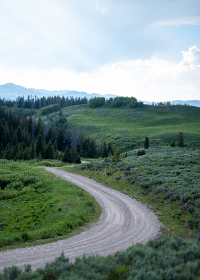 解析皇家赌场娱乐的热门游戏与获胜技巧分享 解析皇家赌场娱乐的热门游戏与获胜技巧分享