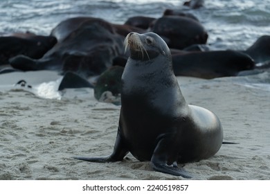 CCTV1综合频道高清在线直播实时观看入口 CCTV1综合频道高清在线直播实时观看入口