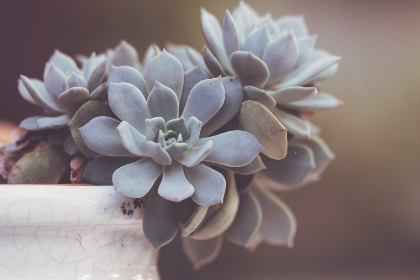 解码千亿体育平台商业生态系统中的投资运营与用户体验协同 解码千亿体育平台商业生态系统中的投资运营与用户体验协同