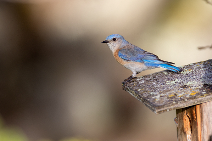 访问awc万象城官网,发现最新活动与优惠信息 访问awc万象城官网,发现最新活动与优惠信息