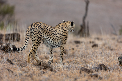 CCTV3综艺频道在线直播天天看高清同步播出