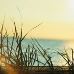 解析赌博公司背后的商业模式与盈利策略 kvg50kq1i