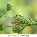 让你了解乐透平台的安全性与合法性问题 xbrfgr