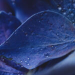 《散打天下》震撼直播,巅峰对决热血开战! 2pjj4dfom