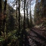 《拳力巅峰3》震撼直播:巅峰对决,拳王争霸赛热血开启! fyx4x8b8