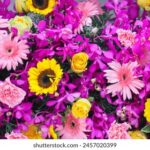 《我的前半生》独家直播台精彩回顾 uxbviq